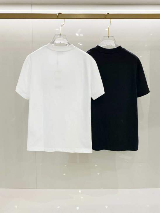 Dior T Shirts Short _SKUDiorS-XLtltx6215663